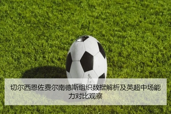 切尔西恩佐费尔南德斯组织数据解析及英超中场能力对比观察